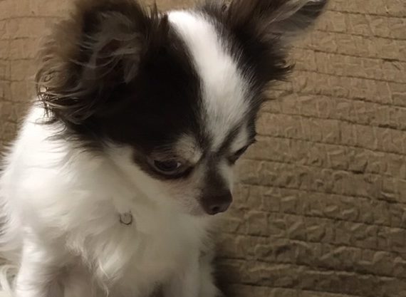 スタッフ紹介