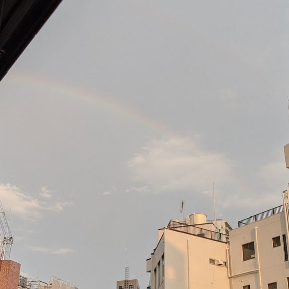 秋ですね。