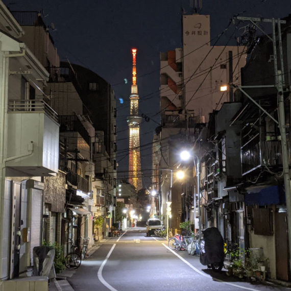 11月になりました