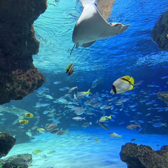 水族館