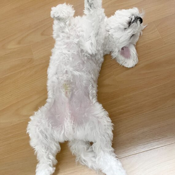スタッフ紹介