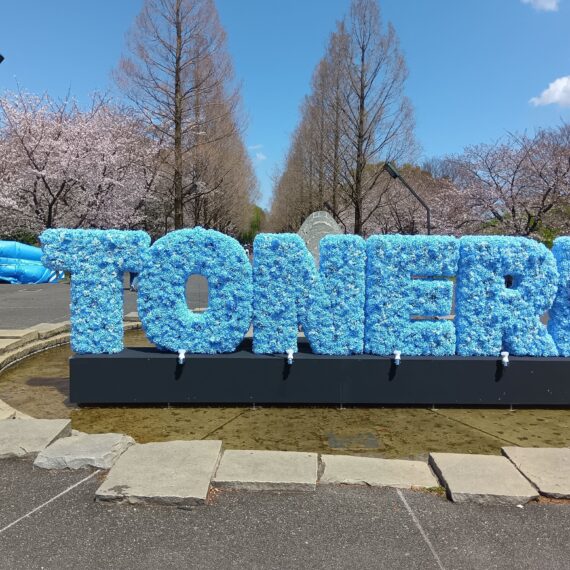 お花見
